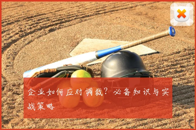 企业如何应对调裁？必备知识与实战策略