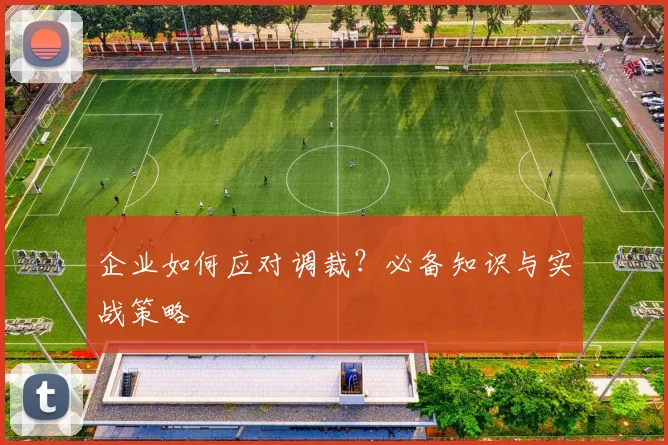 企业如何应对调裁？必备知识与实战策略
